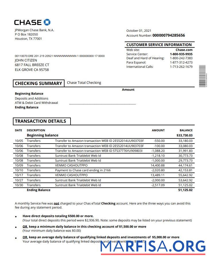 Blank USA Chase account statement word sample